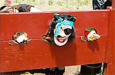 Get a grip on your Willie!